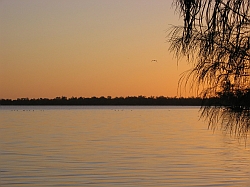 A lone bird flies over the calm water of Lake Dunn as the sun rises.